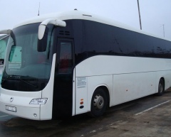 Iveco Domino