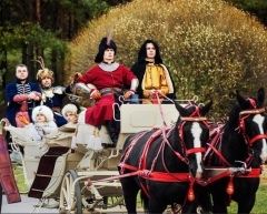 Аренда кареты с лошадьми в Минске