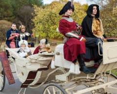 Аренда кареты с лошадьми в Минске