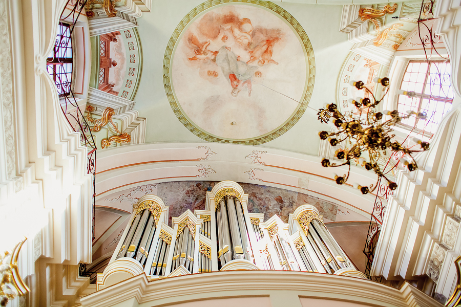 Действующий орган