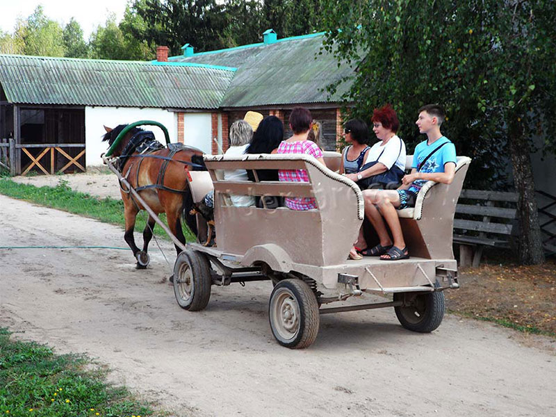 Катание на пролетке