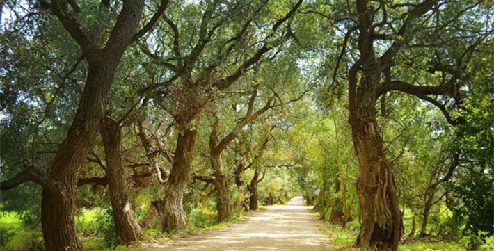 Парковая зона