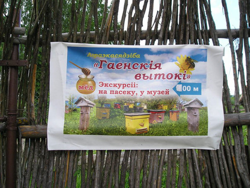Аграэкасядзіба "Гаенскія вытокі"