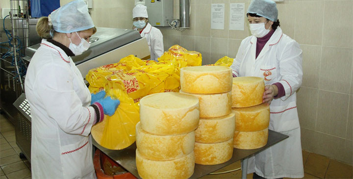 Сырное царство