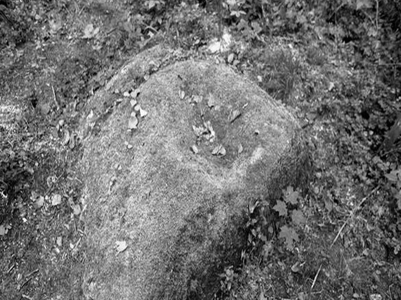 Камень жертвенник в Язвинском лесничестве