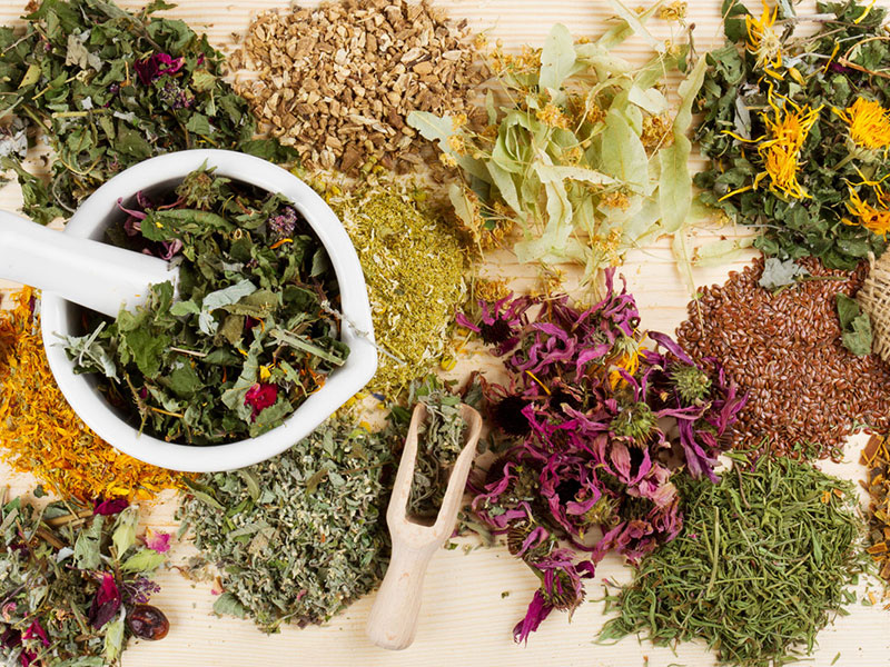 Лекарственные травы