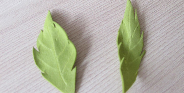 украшение из цветов для свадебного автомобиля своими руками