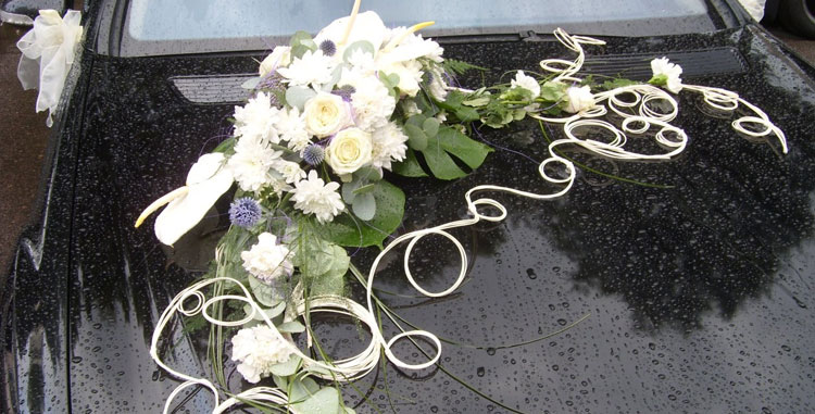 украшение ручки автомобиля бабочками